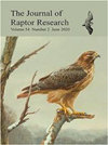 JOURNAL OF RAPTOR RESEARCH雜志封面